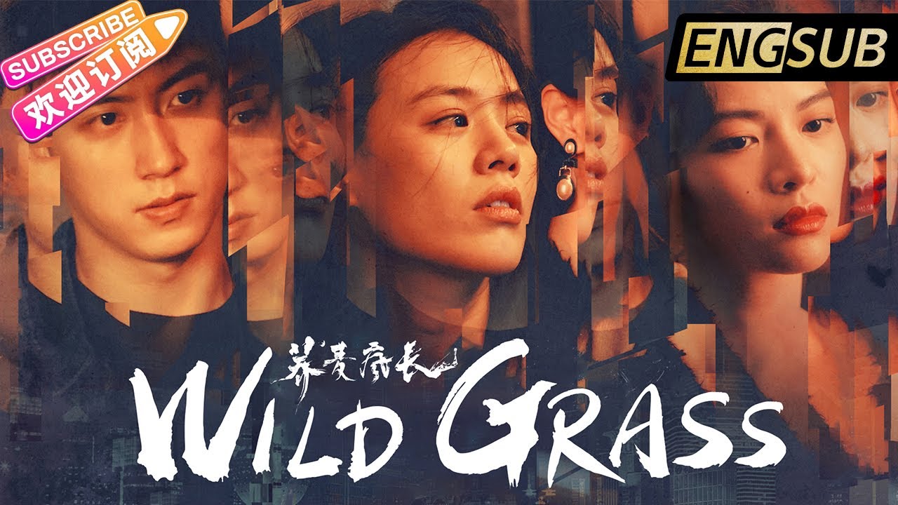 【ENG SUB】《荞麦疯长/Wild Grass》马思纯 钟楚曦 黄景瑜为爱疯狂【捷成华视华语电影】