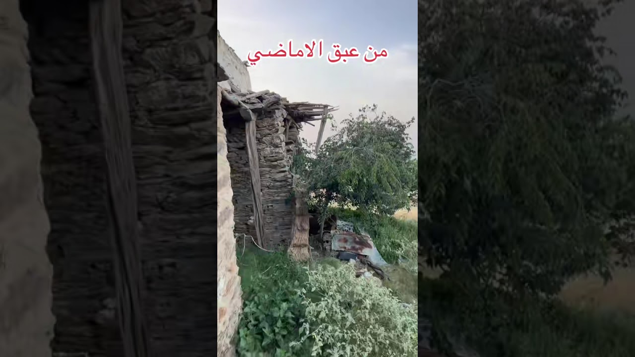 @قرية_الشعبه_الباحه