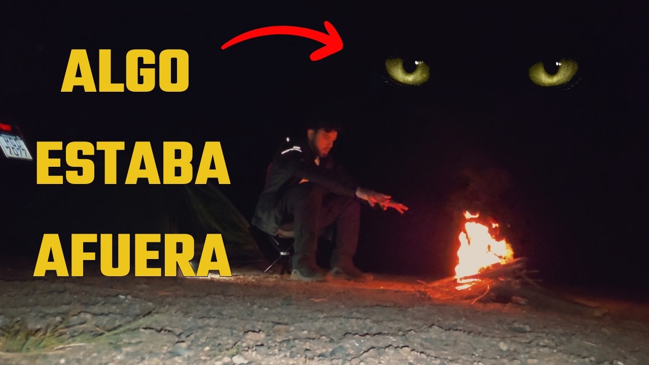 Acampé solo y algo apareció en la noche…  #motorcycle   #camping