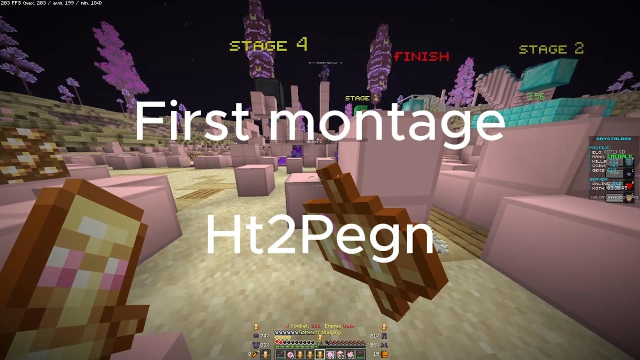 lt3 cpvp montage