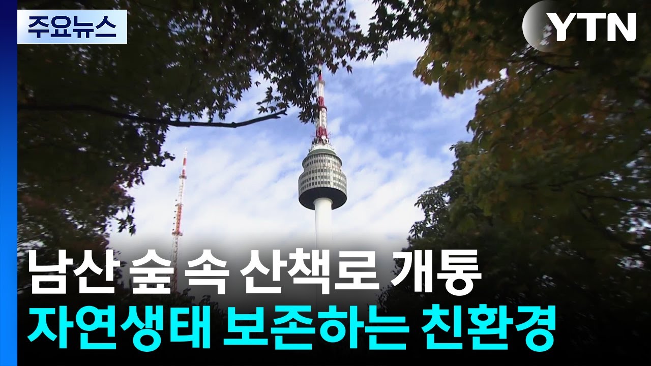 [서울] 남산 하늘숲길 개통...무장애길&middot;생태보존 '매력 +1' / YTN