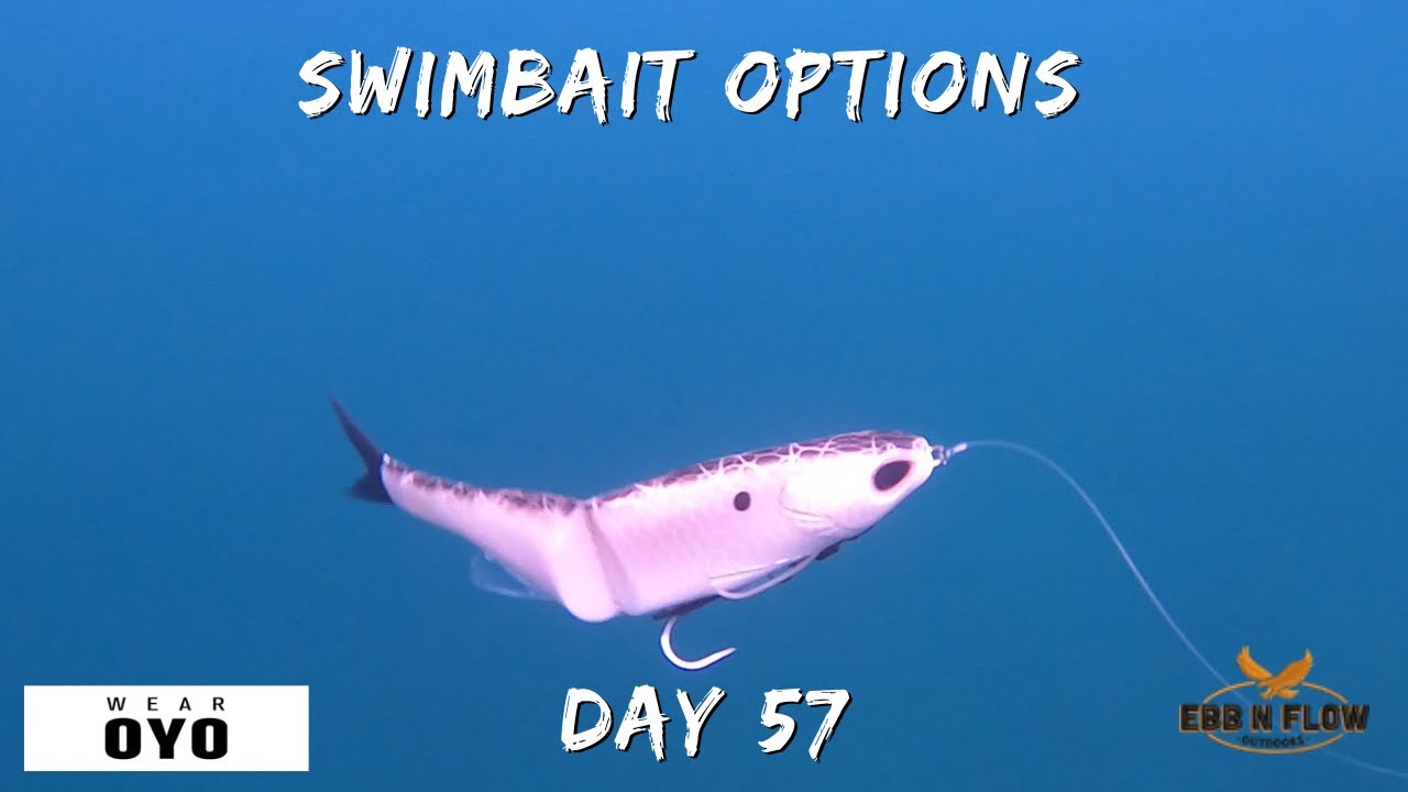 Swimbait Guide: Matching Lures to Conditions to Catch BIGGER Bass!