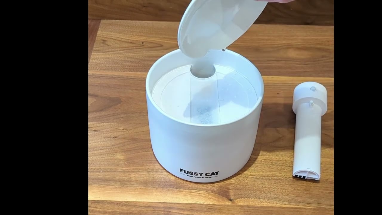 The Fussy Cat Ceramic Water Fountain