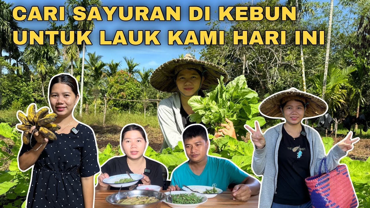 PANEN SAYURAN DI KEBUN DAN BIKIN PISANG GORENG YANG DI SUKAI KELUARGA