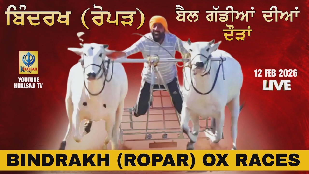 🔴[Live] Bindrakh | Ropar | ਬੈਲ ਗੱਡੀਆਂ ਦੀਆਂ ਦੌੜਾਂ  | Ox Races | 12 Feb 2026 | Khalsaji Tv