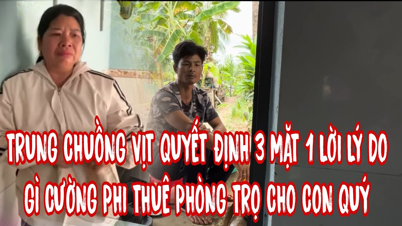 LÝ DO này CƯỜNG PHI không cho TRUNG CHUỒNG VỊT VÀ QUÝ tái hợp lại 