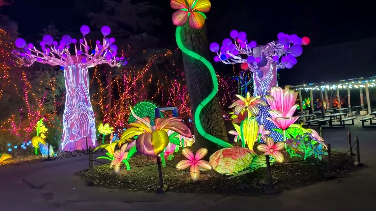 2026-01-21 - Amnéville - Luminescence - Fiesta latine