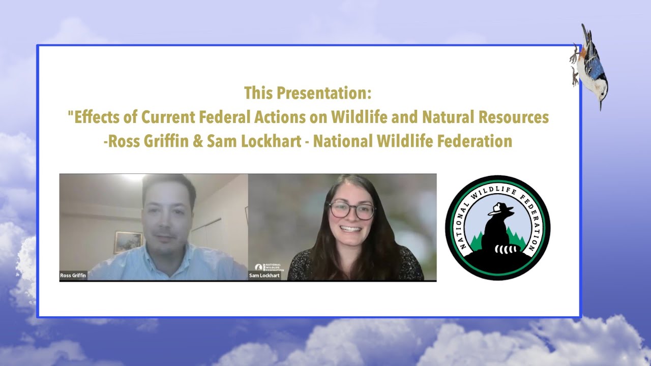 The Effects of Current Federal Actions on Wildlife and Natural Resources