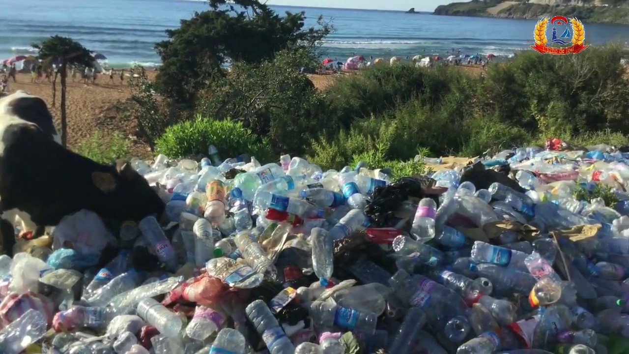 Le non respect de la nature aux Aftis à El-Aouana (Jijel)