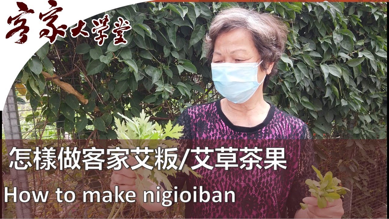教你做道地的客家艾粄/艾草果  『客家飲食』 Authentic Recipe for Yummy Ngioiban (Wormwood/Cudweed cake)