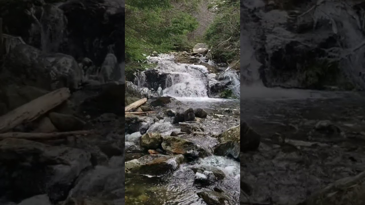 Peaceful Nature Escape Serene Waterfall in the Forest