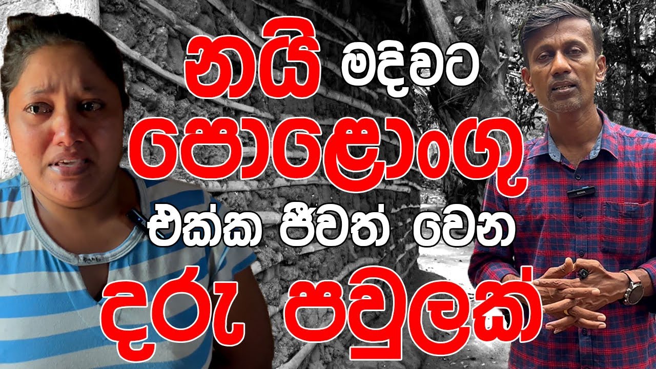 නයි මදිවට පොළොංගු එක්ක ජීවත් වෙන දරු පවුලක්