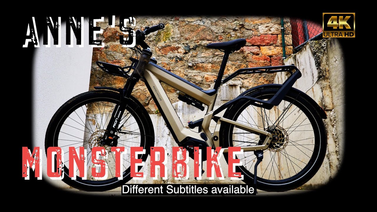 Новый электронный велосипед Анны, Riese & Müller SUPERDELITE + Ortlieb Back Roller, седло Brooks