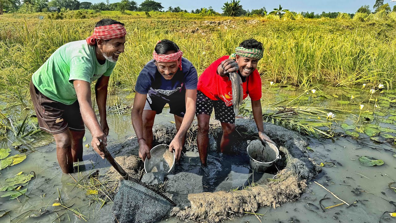 পুরনো দিনের সেই স্মৃতি, আবার ও ফিরে আসলো,মাঠে লাফা বানিয়ে মাছ ধরা new fishing video