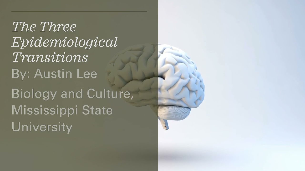 The Three Epidemiological Transitions