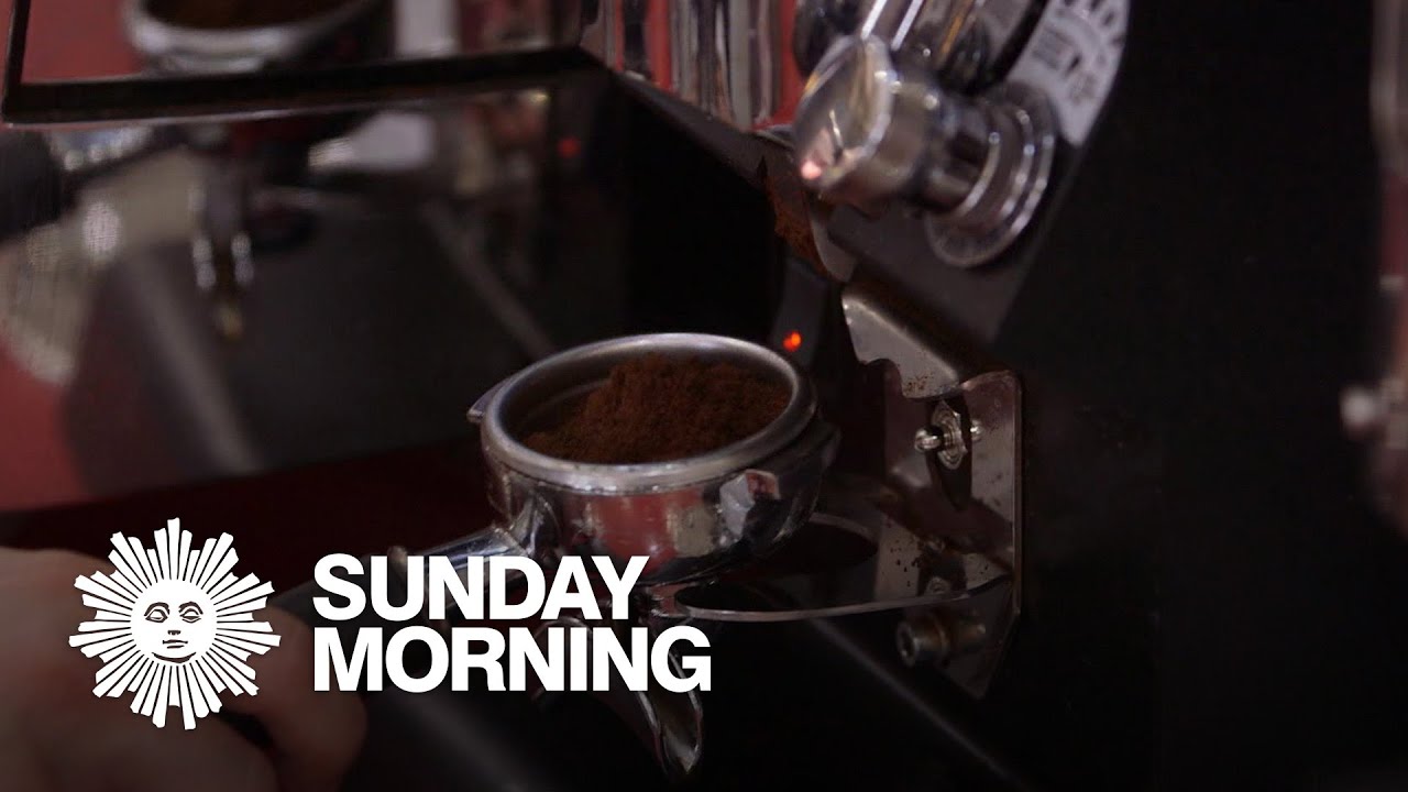 True espresso love: Attending a university of coffee