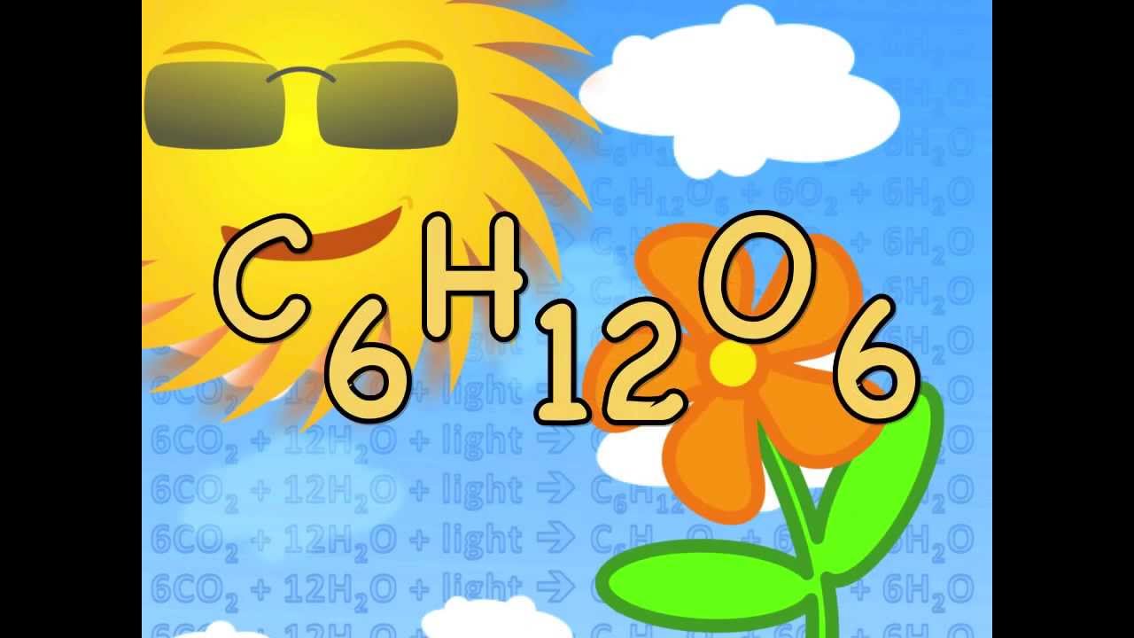 Photosynthesis Equation Song - Biology Lesson