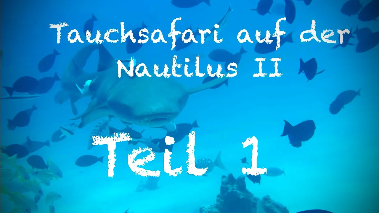 Tauchsafari auf der Nautilus 2 - Teil 1