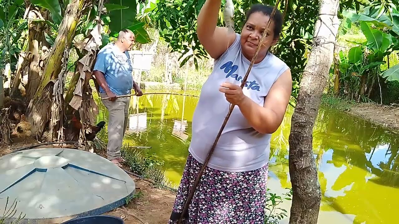 Pescando com meu esposo pegamos do pequenos os grandes não vem.