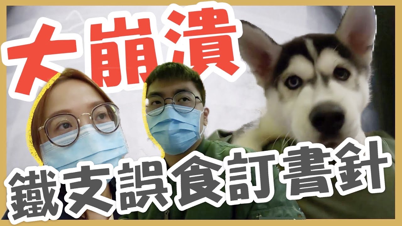 【極致毛奴】超崩潰！鐵支把訂書針當飯吃？半夜衝急診看到X光大崩潰 ｜❤彥婷