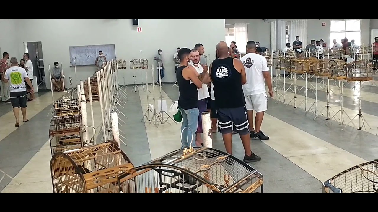 Como funciona o torneio!