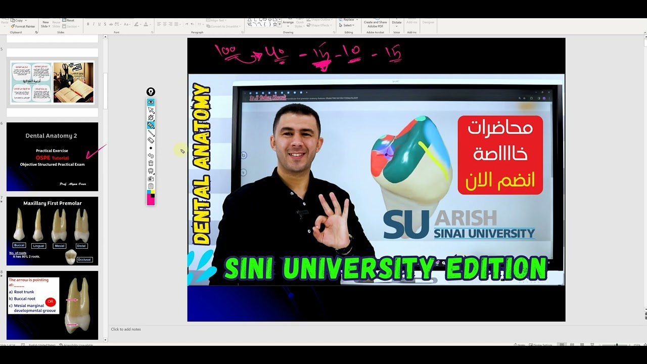 Dental Anatomy SU | OSPE P1 جامعة سينا امتحان العملى دنتال أناتومي - كيفية التعرف علي الأسنان
