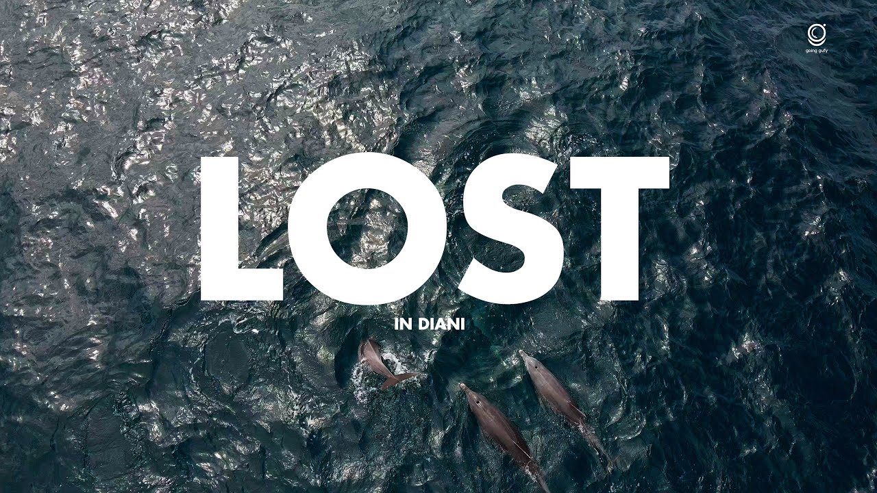 LOST IN DIANI - Friends in my house