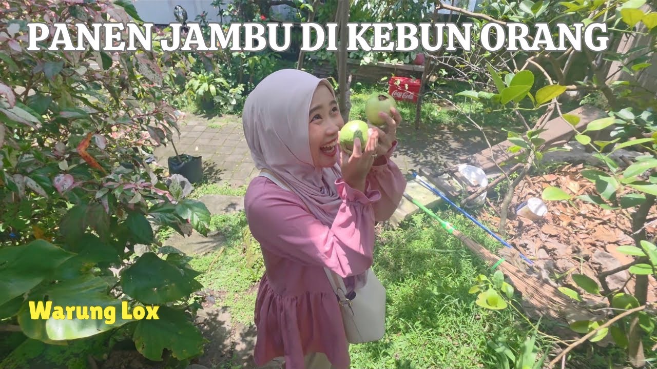 PANEN JAMBU DI WARUNG HIDDEN GEM “WARUNG LOX”