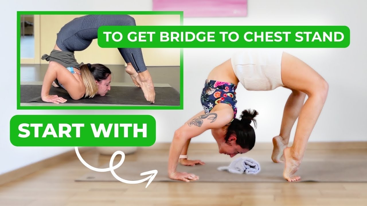 Bridge to Chest Stand Tutorial for Flexibility & Contortion Training 🐍