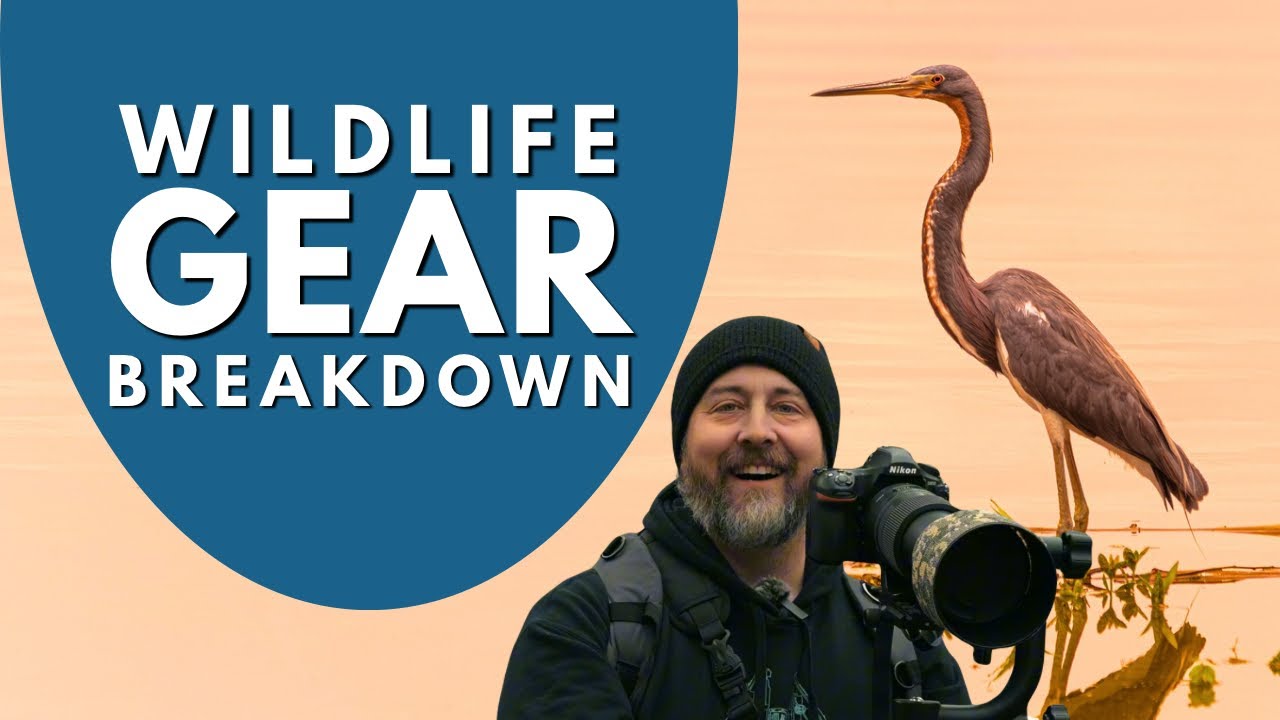 My DSLR Wildlife Photography Kit - Nikon D850, Sigma 150-600, and the Sirui One-Step Monopod