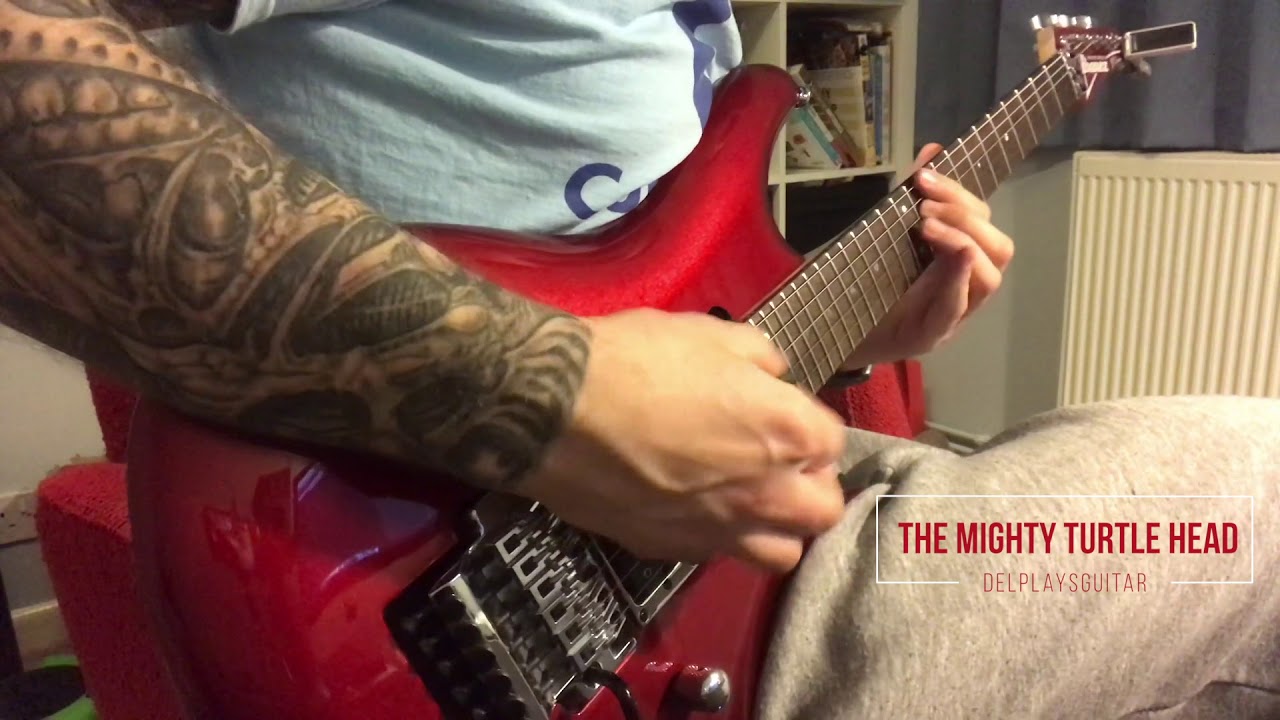 Ibanez JS24P - Mighty Turtle Head Cover
