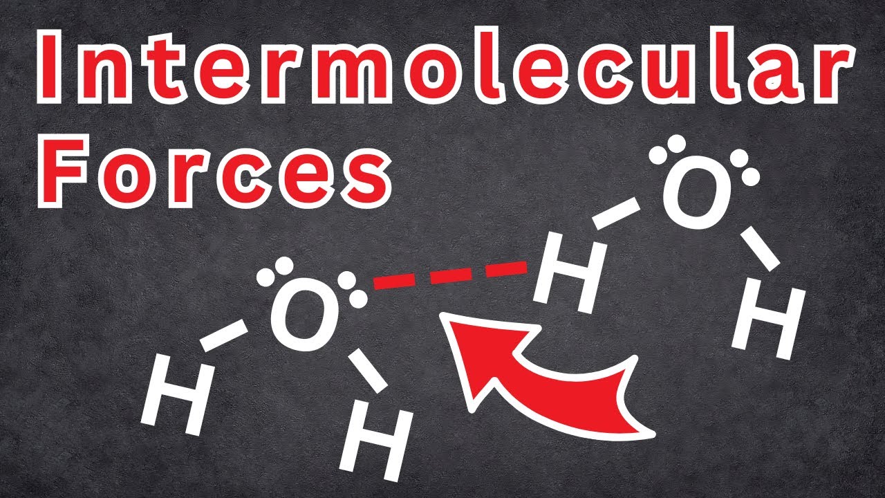 Межмолекулярные силы ОБЪЯСНЕНЫ! | Tadashi Science