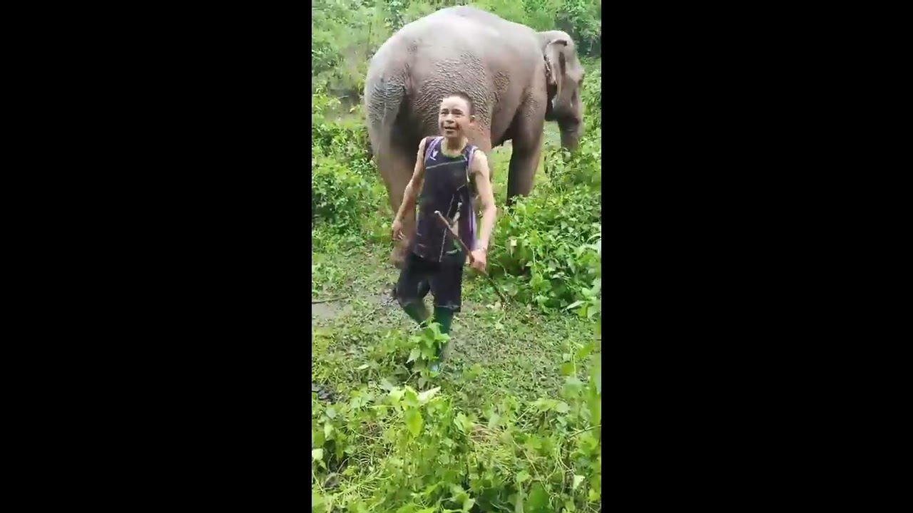 Molopo