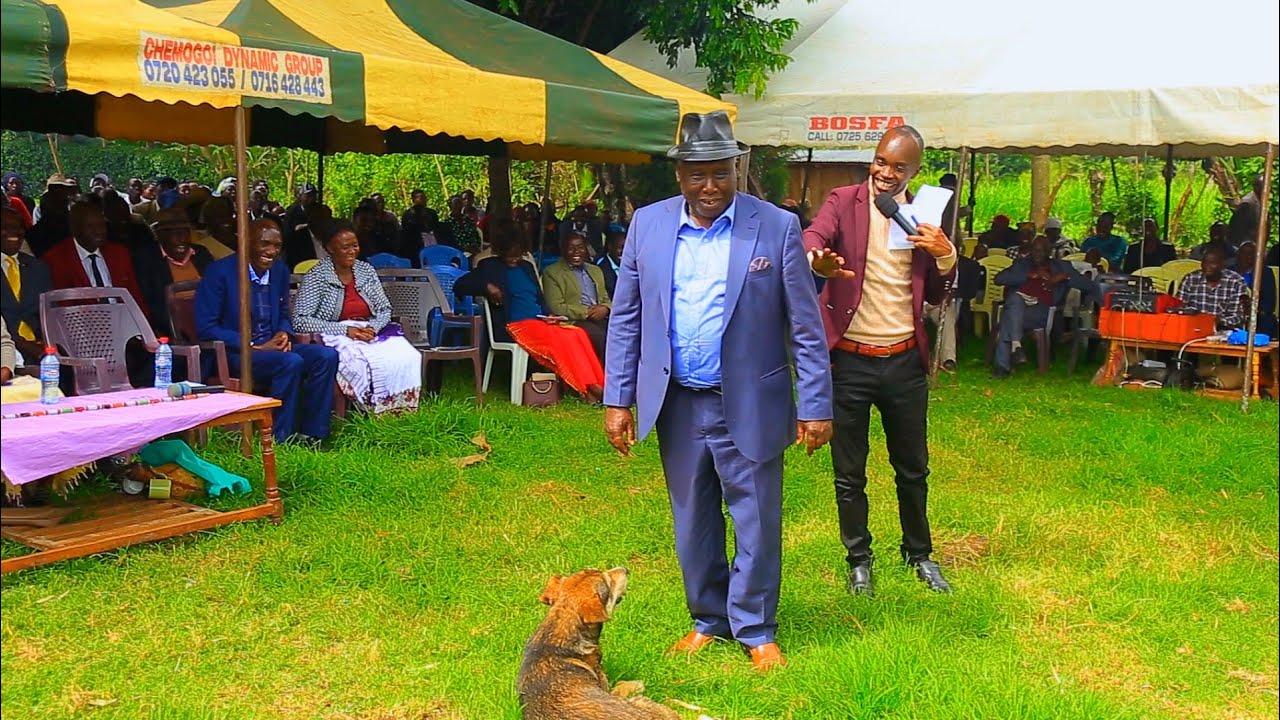 HOW TO DRESS WELL, THIS DOG IS SHOCKED😂😂😂FUNNY MC JONES