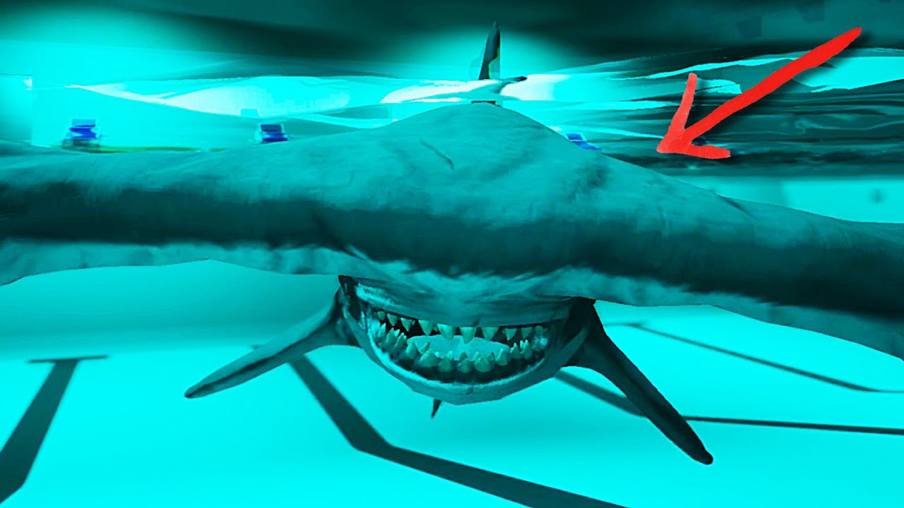 This Shark Horror Game Mentally Destroyed Me [Sharks And Minnows]
