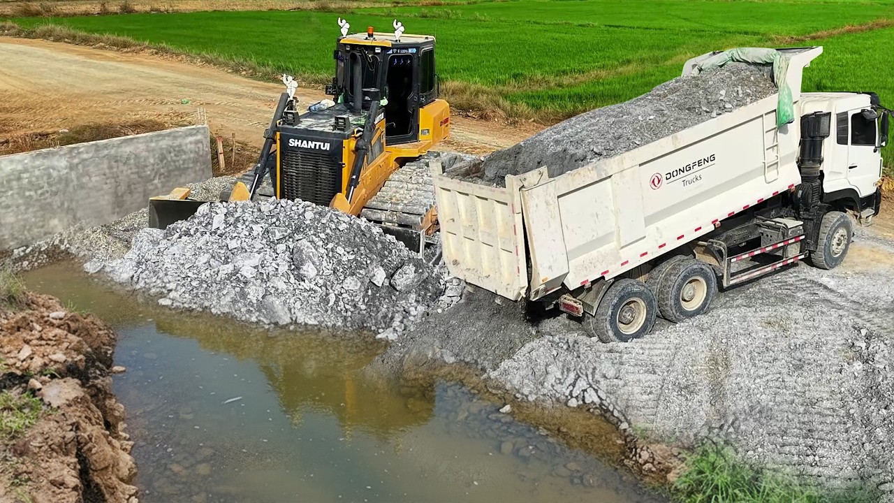 Flooded Land Recovery SHANTUI Dozer & 25T Truck Push Soil for New Construction