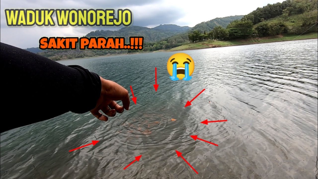 KENA SATU YANG NGIKUTI RIBUAN || mancing ikan red devil di waduk Wonorejo Tulungagung