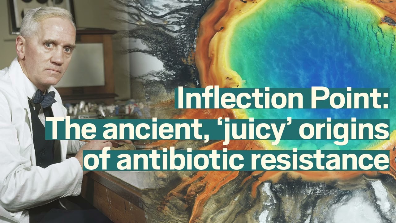The ancient, ‘juicy’ origins of antibiotic resistance