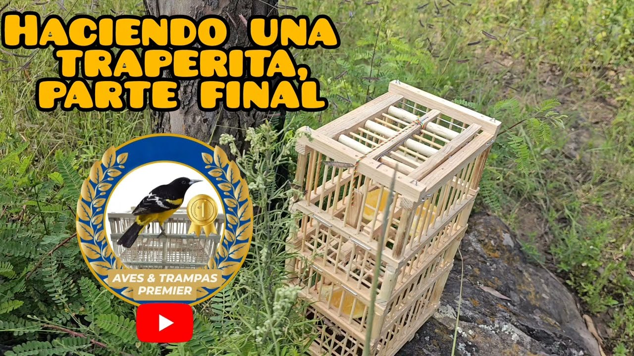 Haciendo una tramperita, parte final