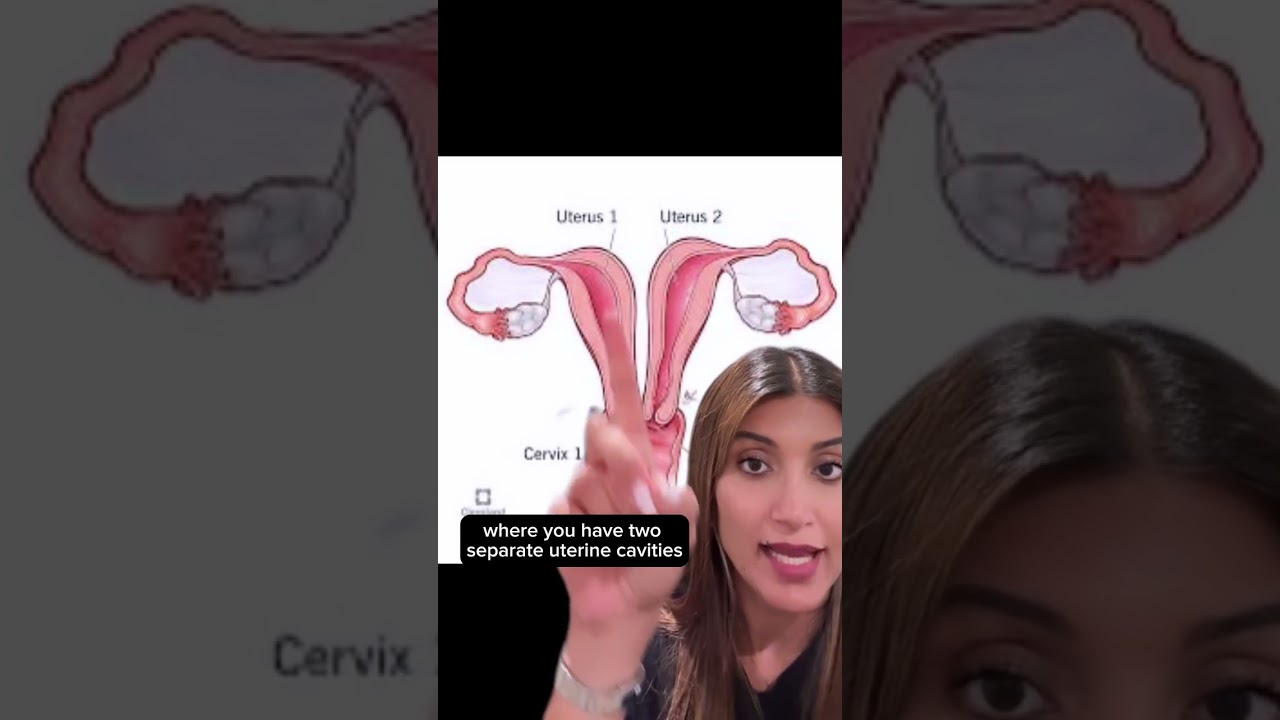 Double Womb Wonder: The Twin Pregnancy Tale!