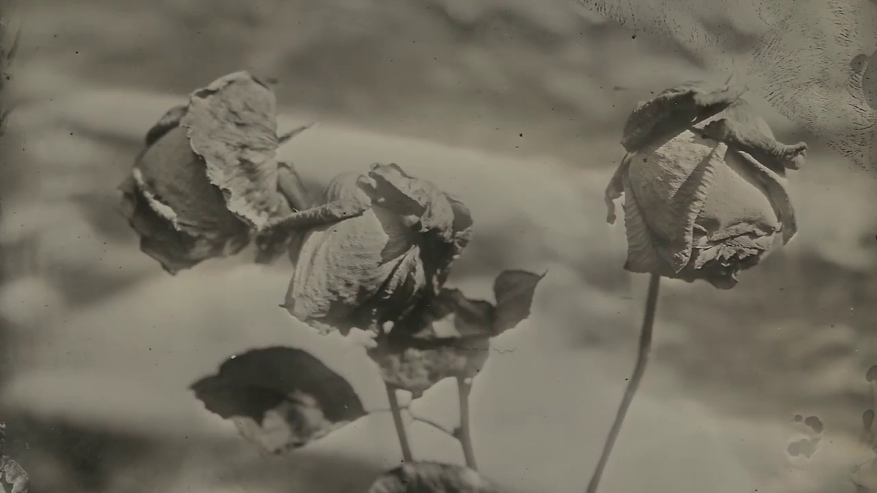 ▼▼† Veils † Soulmates▲††
