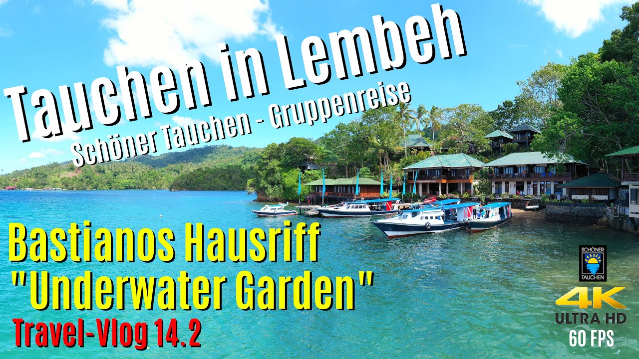 Tauchen in Lembeh - Das Bastianos Hausriff 