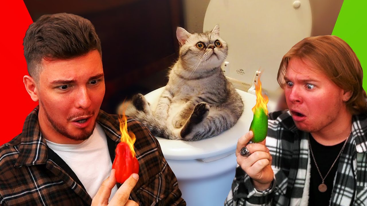🌶️🔥 NICHT LACHEN sonst CHILI [BESTRAFUNG]