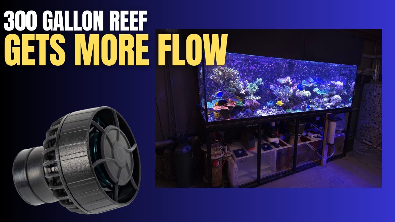 Installing Jebao SLW-30s On The 300 gallon Reef Tank