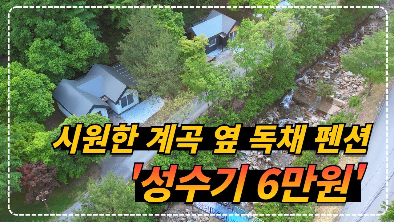 강원 정선_여름 최고 성수기에도 계곡 옆 독채 펜션을 6만원에 이용할 수 있는 최신식 숙소!!