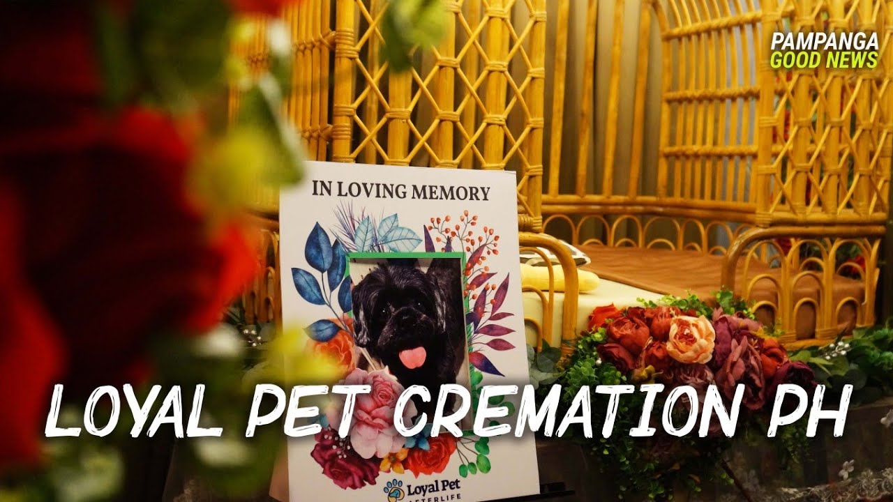 Loyal Pet Cremation PH (Pet Funeral)