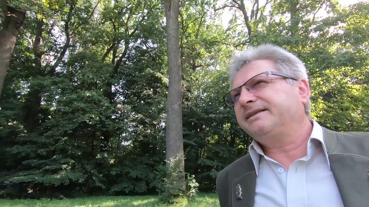 Episodul 72: Valea Trotușului, „Oituzul” silviculturii românești