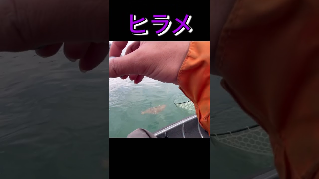 絶対にやってはいけないタモ入れのやり方