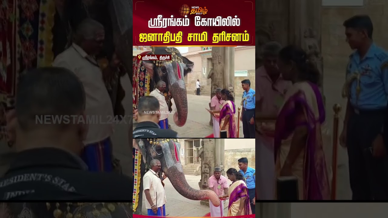 ஸ்ரீரங்கம் கோயிலில் ஜனாதிபதி சாமி தரிசனம் | Droupadi Murmu |  Srirangam | Trichy