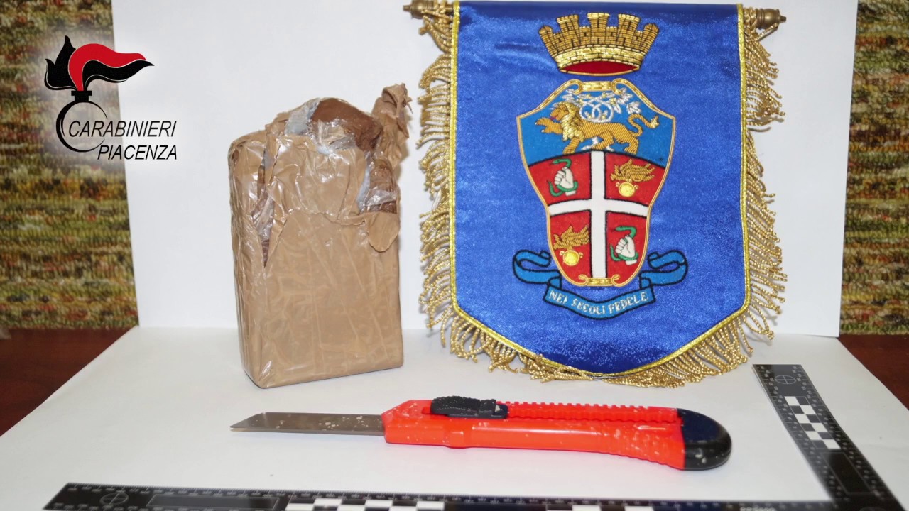 L'operazione Myocastor dei carabinieri di Fiorenzuola d'Arda